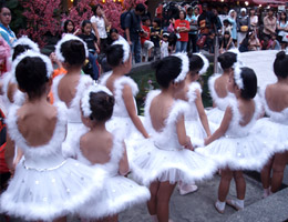 Ballet Performance