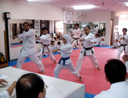 Karate Exam